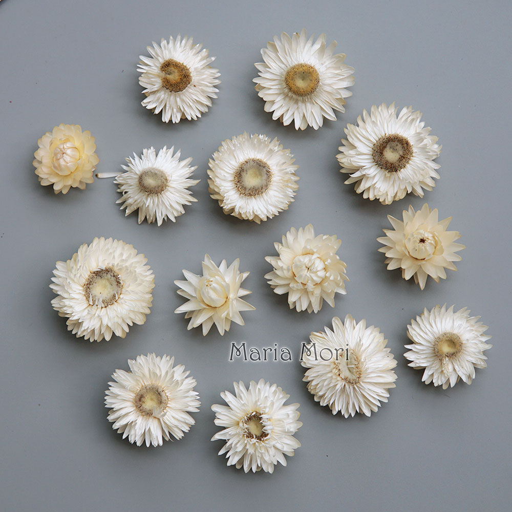 Candle Making Uk - เครื่องประดับผมแฮนด์เมดทำจากพวงหรีดดอกเบญจมาศสีสันสดใสทำจากวัสดุทำมือสำหรับผลิตภัณฑ์เรซินเทียนอโรมา